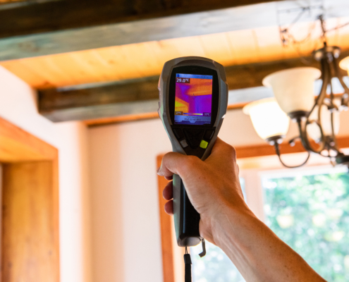 pre-listing inspection